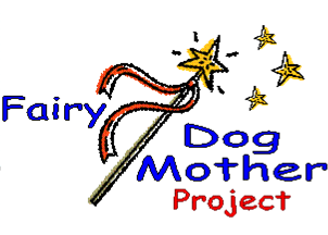 Fairy_Godmother_Project
