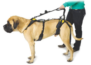 Help Em Up Harness Feed Bag Pet Supply   Help Em Up Harness 300x213 