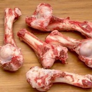 can puppies eat raw lamb bones